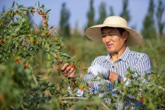 新时代中国调研行之看区域·西部篇丨这里的地盘