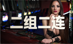 月亮全年免费材料内部大全