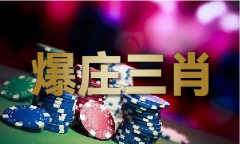 <b>澳港C金大十六码</b>