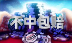 波西亚攻略体验服下载V1711 - 说IT资讯网